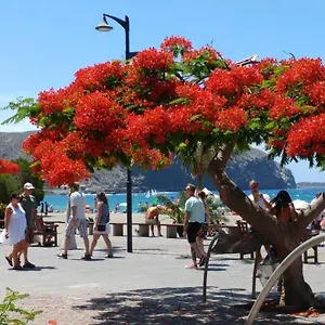 Playa De Cristianos Casa Adriano Casa vacanze Los Cristianos (Tenerife)
